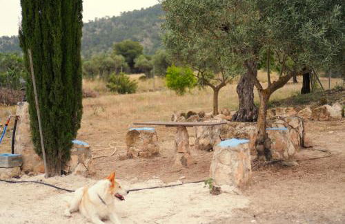 Casa la Serrana - Foto 15