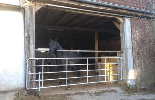 Kraewelhof - Foto 34