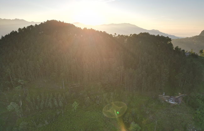 MOMO ELLA - Photo 18