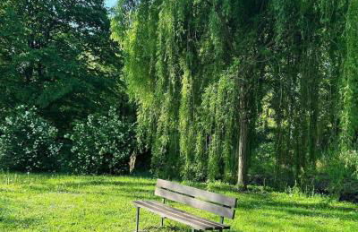 Casa Bei Sogni - Foto 29