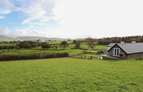 Bryn Eglwys Cottage - Foto 27