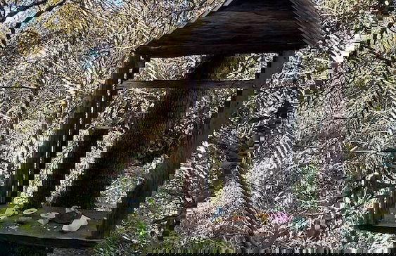 Monte Mauá Chalés - Foto 50