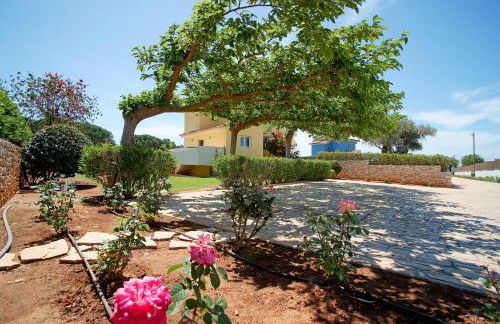 Dimitras Villas - Foto 100