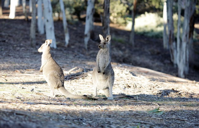 Unilodge at UC Short Stays - Foto 44