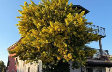 Alle Albere - Verona - Bussolengo - Foto 21