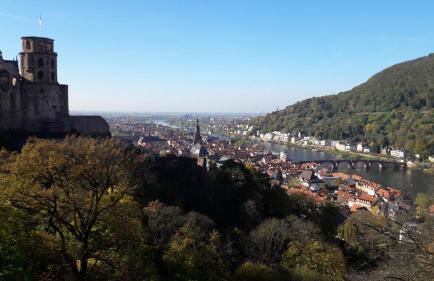 Ferienwohnung Neckarblick - Foto 2