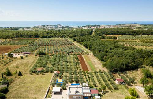 Villa Stanzietta Novigrad for 10 at Olive orchard - Foto 76