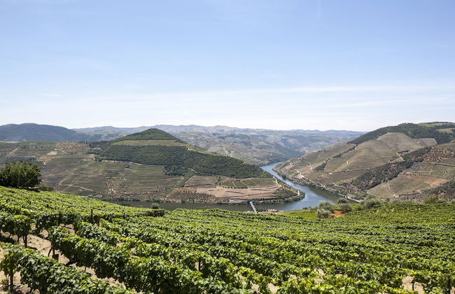 Casa de Casal de Loivos - Photo 64