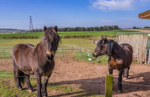 1 Bed in Methven oc-v30533 - Photo 26