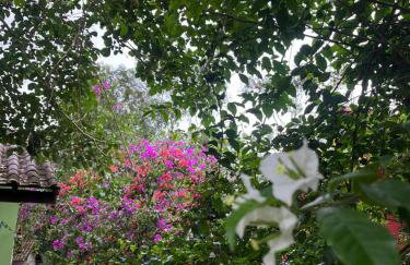 Chalé Favo de Mel - Foto 11