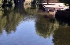 Serra da Estrela - Casa Castro - Foto 24