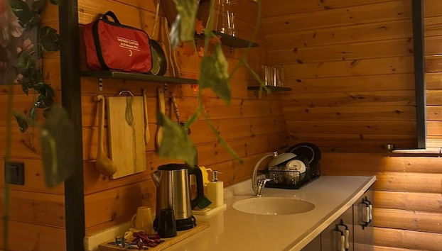 MİRA BUNGALOV - Foto 4, Cocina privada