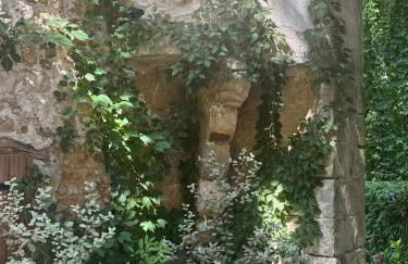 Le Moulin de Rochopt - Photo 49