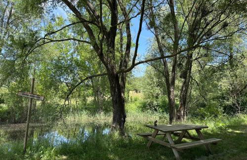 Domaine Mont saint juan - Photo 54