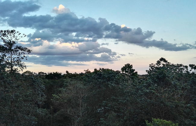 Hotel Finca L’Étoile Celeste - Foto 47