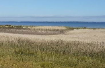 Chez Emile - Foto 44