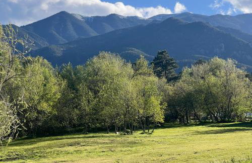 Cozy Cabin on the Creek - Foto 40
