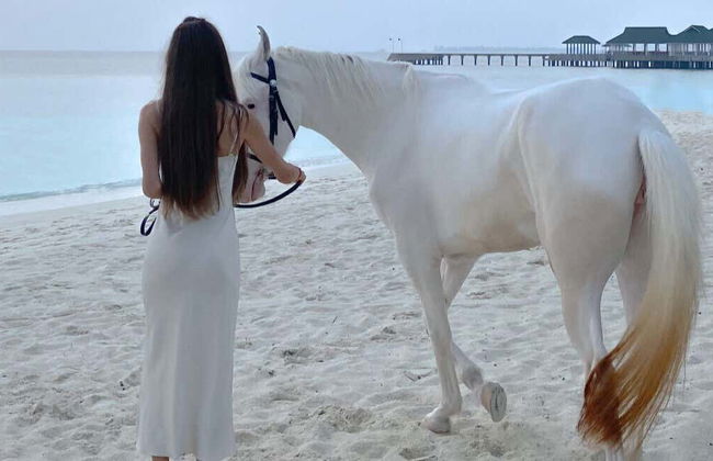 Horse Riding In Holbox - Photo 1