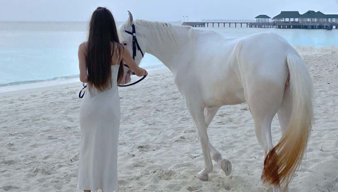 Horse Riding In Holbox