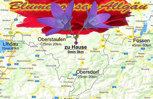 Blumenoase Allgäu - Foto 11