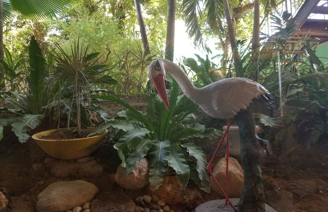 1209 Two Residences Marco Polo Cebu - Foto 39