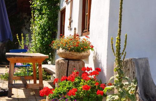 Ferienwohnung Schuster am Fellerer - Foto 7