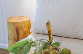 Casale Tasciotto - Foto 65