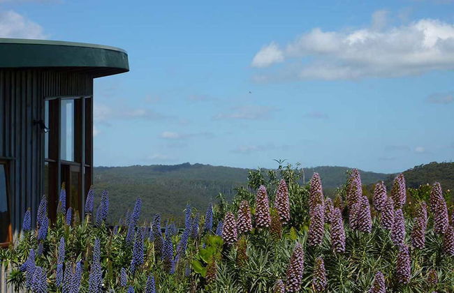 The Boomerangs - Foto 42