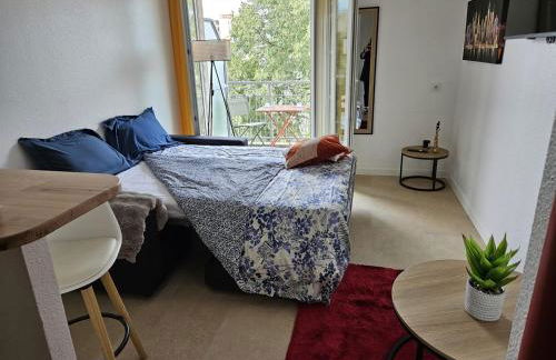 Agréable Studio - Centre ville - Balcon - Photo 11