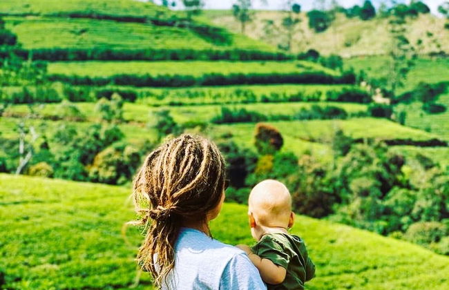 The Tea Garden - Foto 26