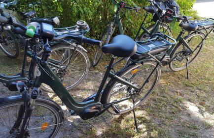 gite au jardin de grand-père - Photo 27