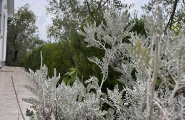 Apartman Ruža - Photo 50