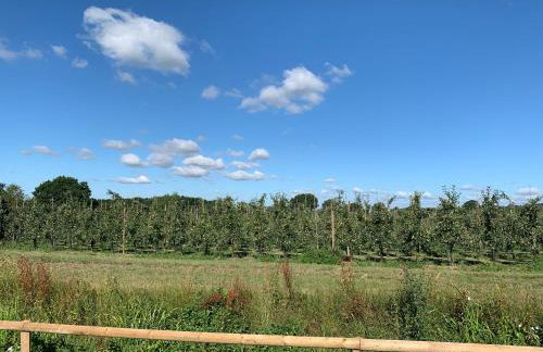 Blackberry Cottage - Photo 42