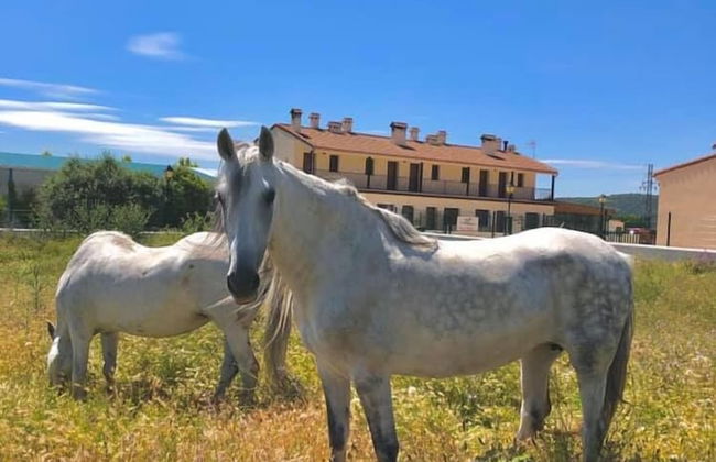 Rural Reillo Alojamientos Rurales - Foto 47
