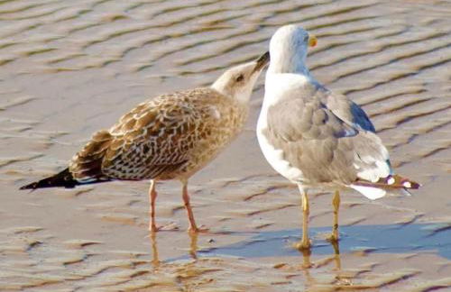 Charming Terraced House in Central Hoylake - Foto 22