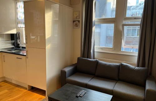 Stunning apartment in the heart of Central London - Foto 20