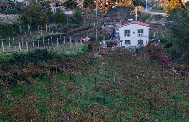 Casa da Cevidade - Foto 30