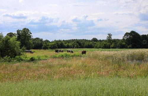 Oaza Święty Spokój - Tiny House z Balią i Jacuzzi przy rzece Narew - Foto 35