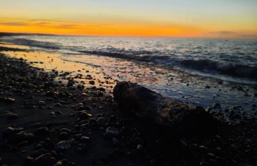 Ostseerauschen - Foto 38