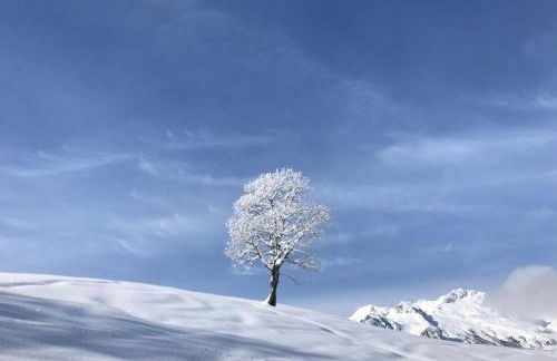 Le Mottet -Prariond - ESF & Skis aux pieds - Foto 11