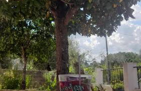 Casa da Magnólia - Foto 29