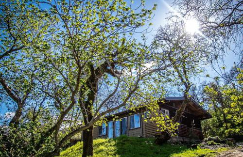 Alta Peak Penzion - Foto 54