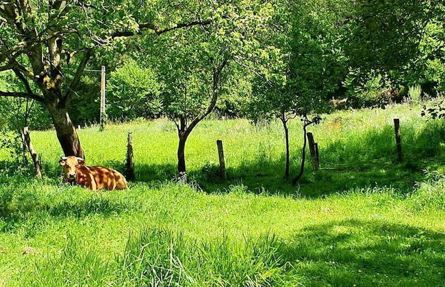 Casa Rural Madreselva - Foto 30