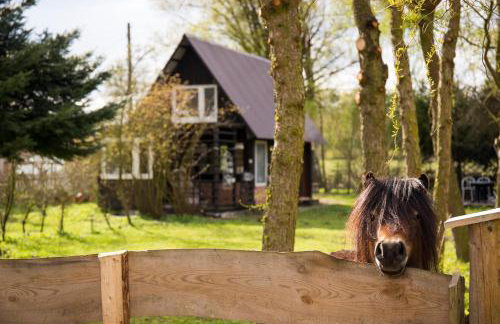 Wiejski Dom - Foto 6