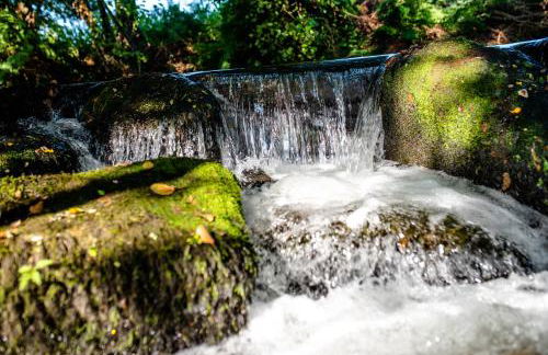 Quinta De Vila Nova - Agroturismo - Foto 21