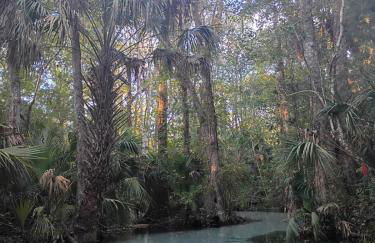 3 Bed 2 Bath Inverness home - Close to all the springs & rivers - Pet friendly - Foto 22