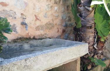 Ca Na Marreta - Foto 11