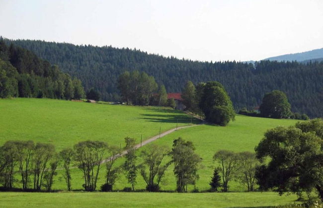 Tranquil Garden Apartment - Photo 37