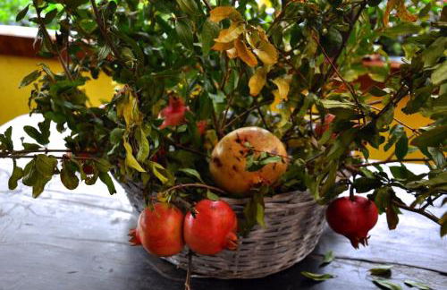 Agriturismo Barcola - Foto 3