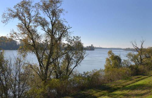 Affitto Breve Rovigo La Casa sul Grande Fiume Po di Nadine - Foto 23